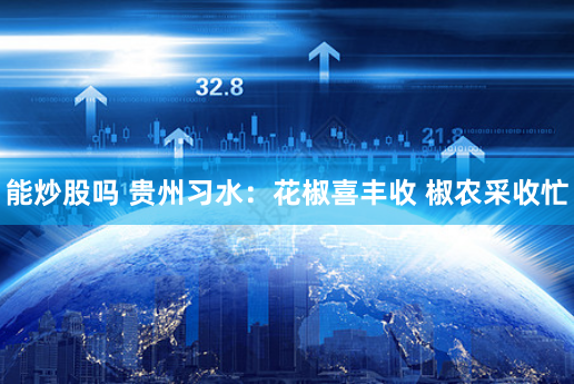 能炒股吗 贵州习水：花椒喜丰收 椒农采收忙