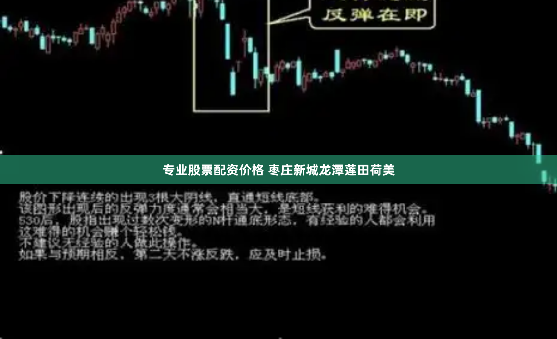 专业股票配资价格 枣庄新城龙潭莲田荷美