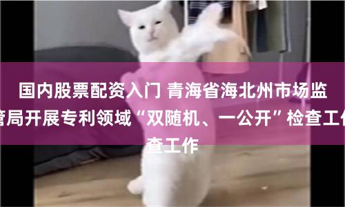 国内股票配资入门 青海省海北州市场监管局开展专利领域“双随机、一公开”检查工作